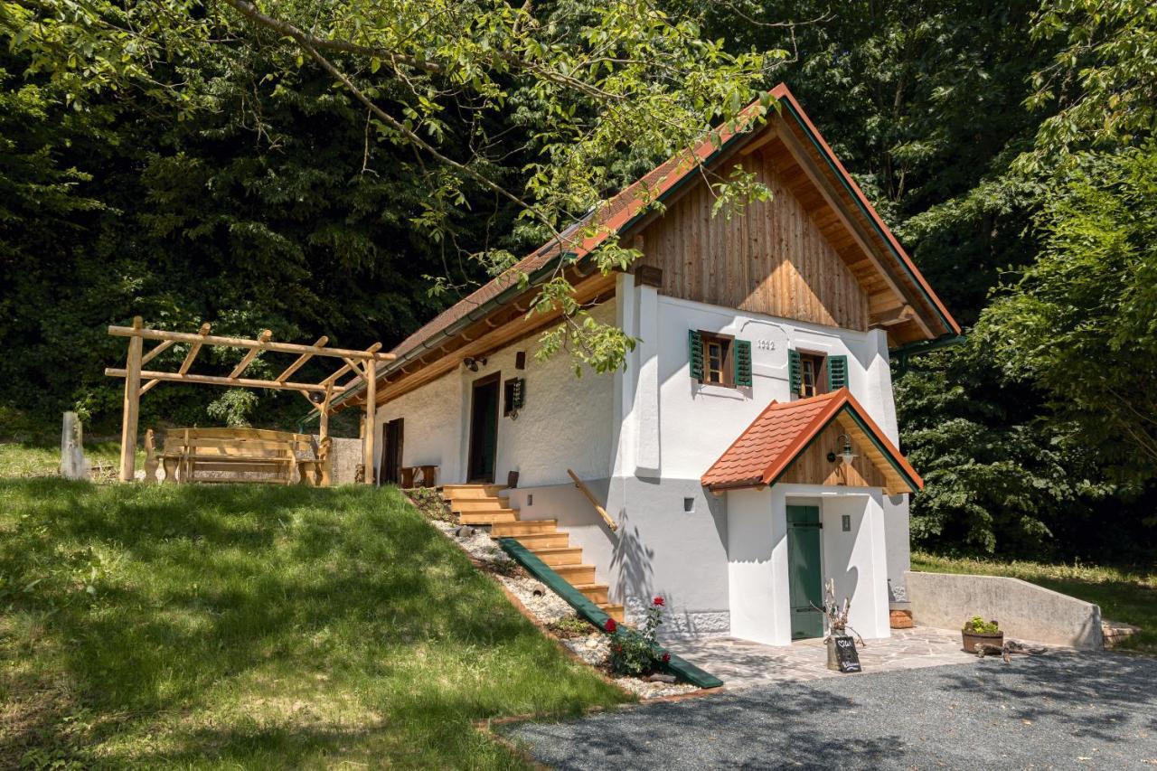 Kellerstoeckl Gaaserberg Holiday home *