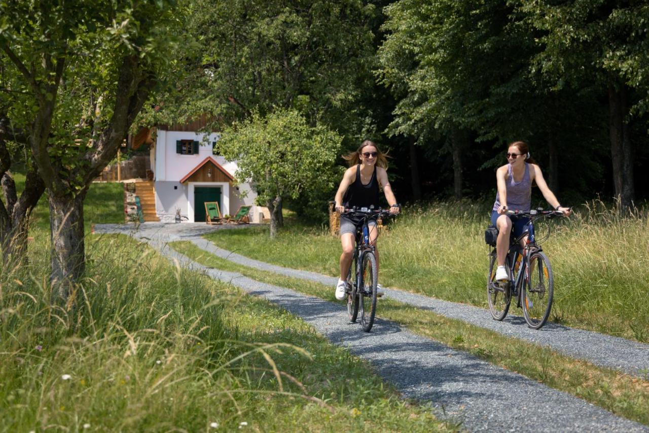 Holiday home Kellerstoeckl Gaaserberg Gaas